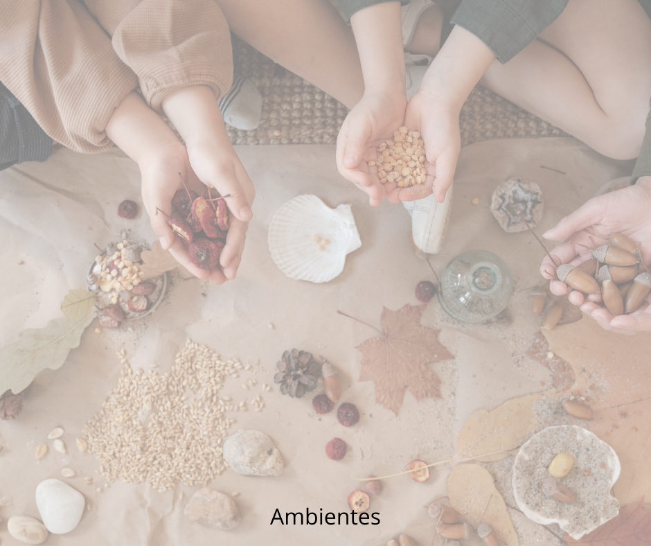 Ambientes adecuados y seguros